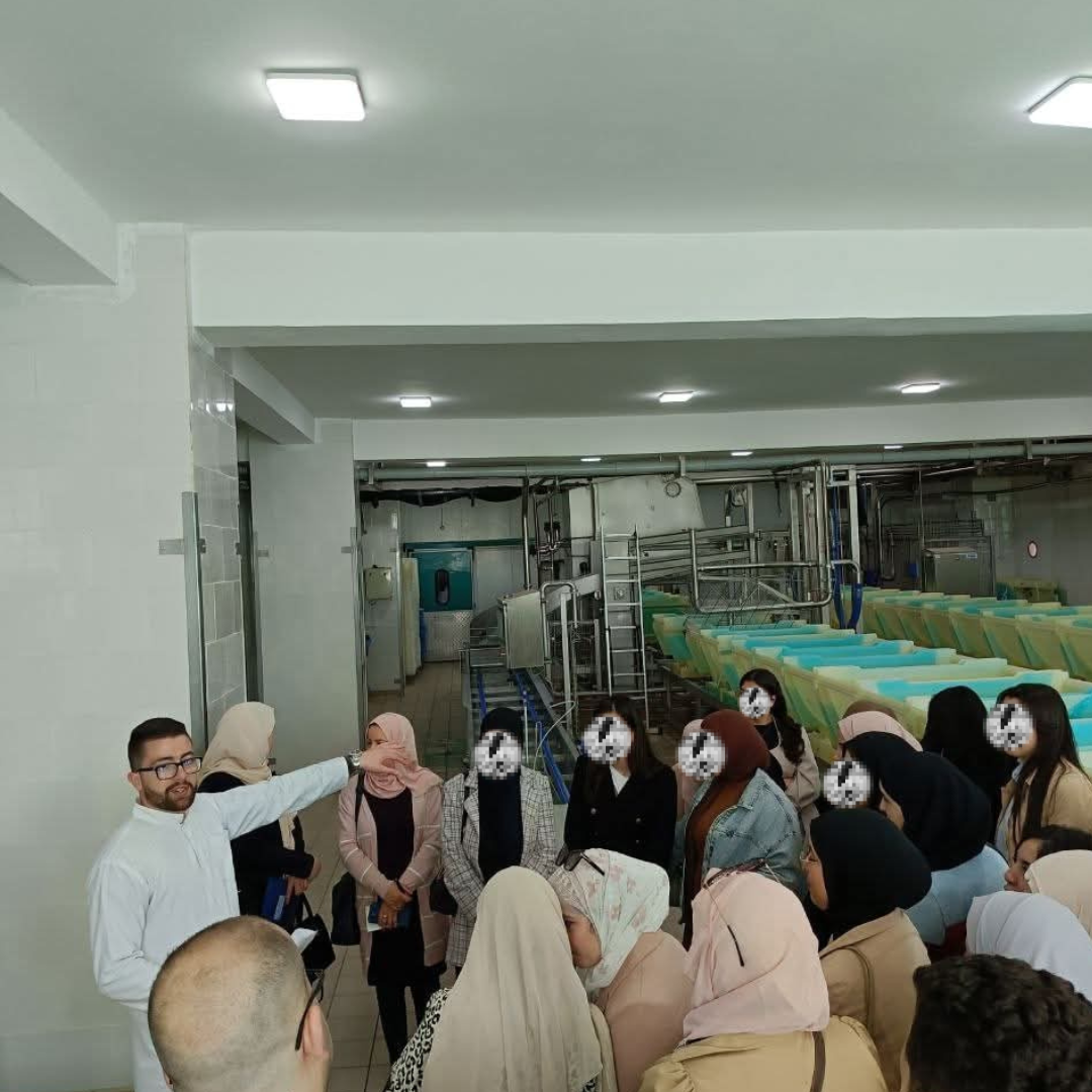 Mozzarella production technology — Technical discussion around Mozzarella production technology alongside the stainless-steel process piping.